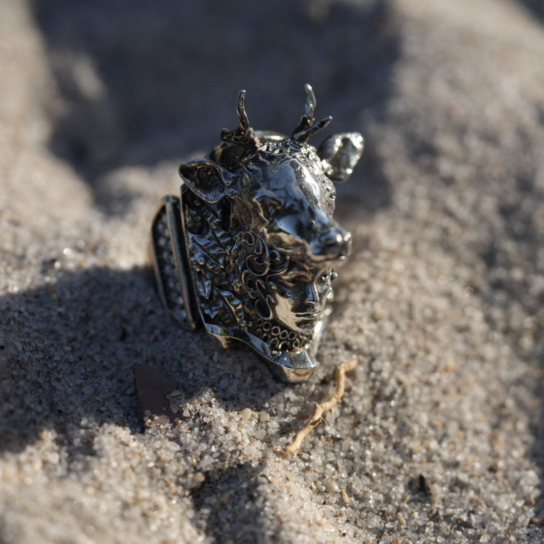 “Actaeon sterling silver statement ring